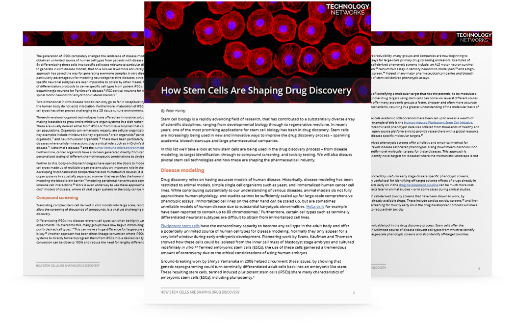 How Stem Cells Are Shaping Drug Discovery